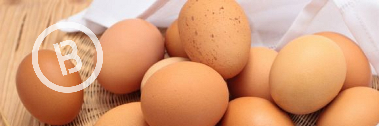 The Ultimate Guide on How to Boil an Egg Perfectly Every Time