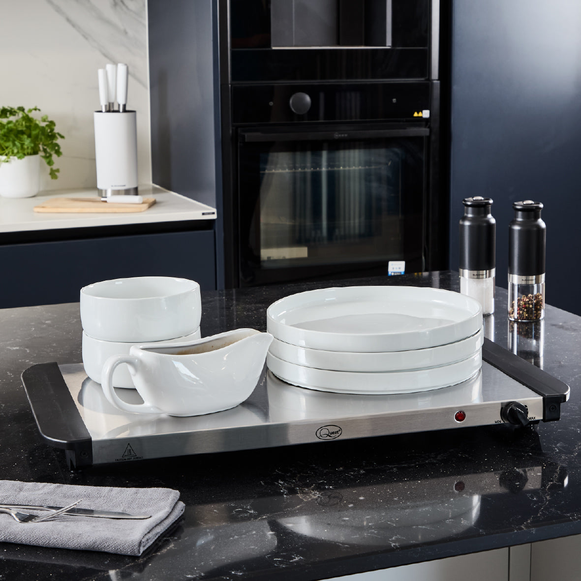 Deluxe Buffet Server & Food Warmer