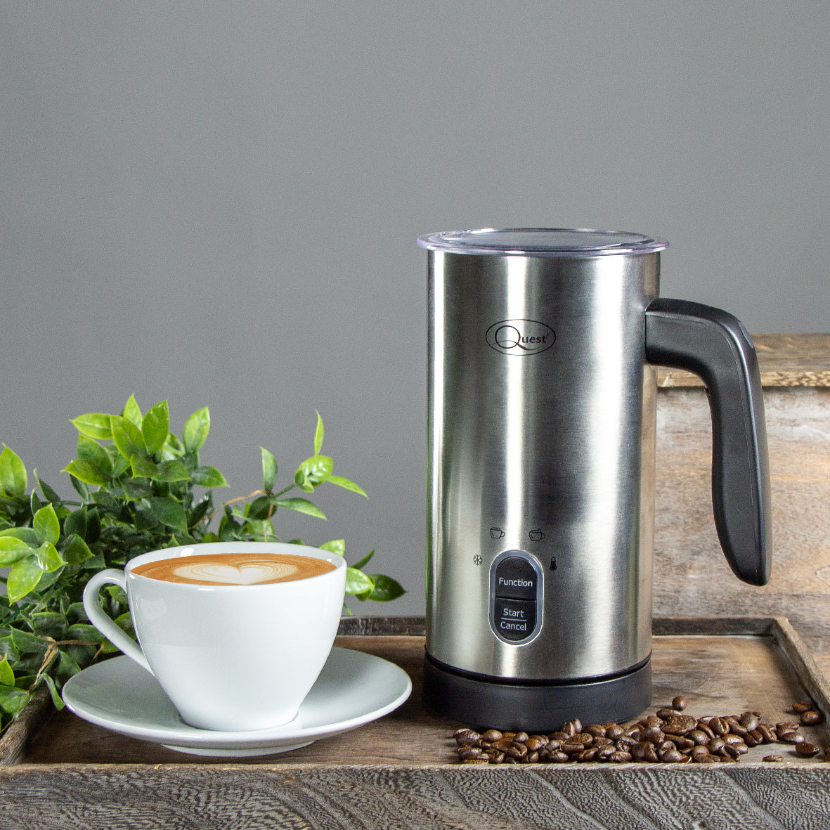 Automatic Milk Frother - Stainless Steel