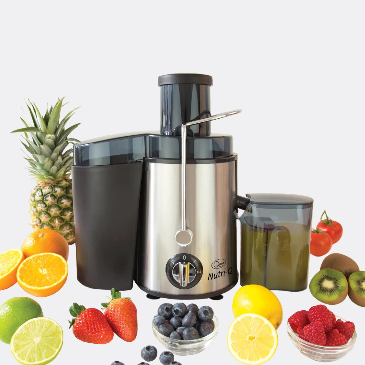 Nutri Q Power Juicer