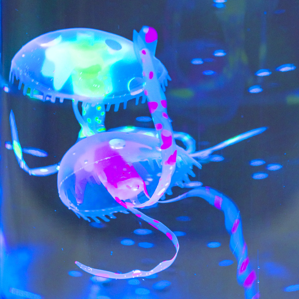 Jellyfish Aquarium Lamp - Multicoloured