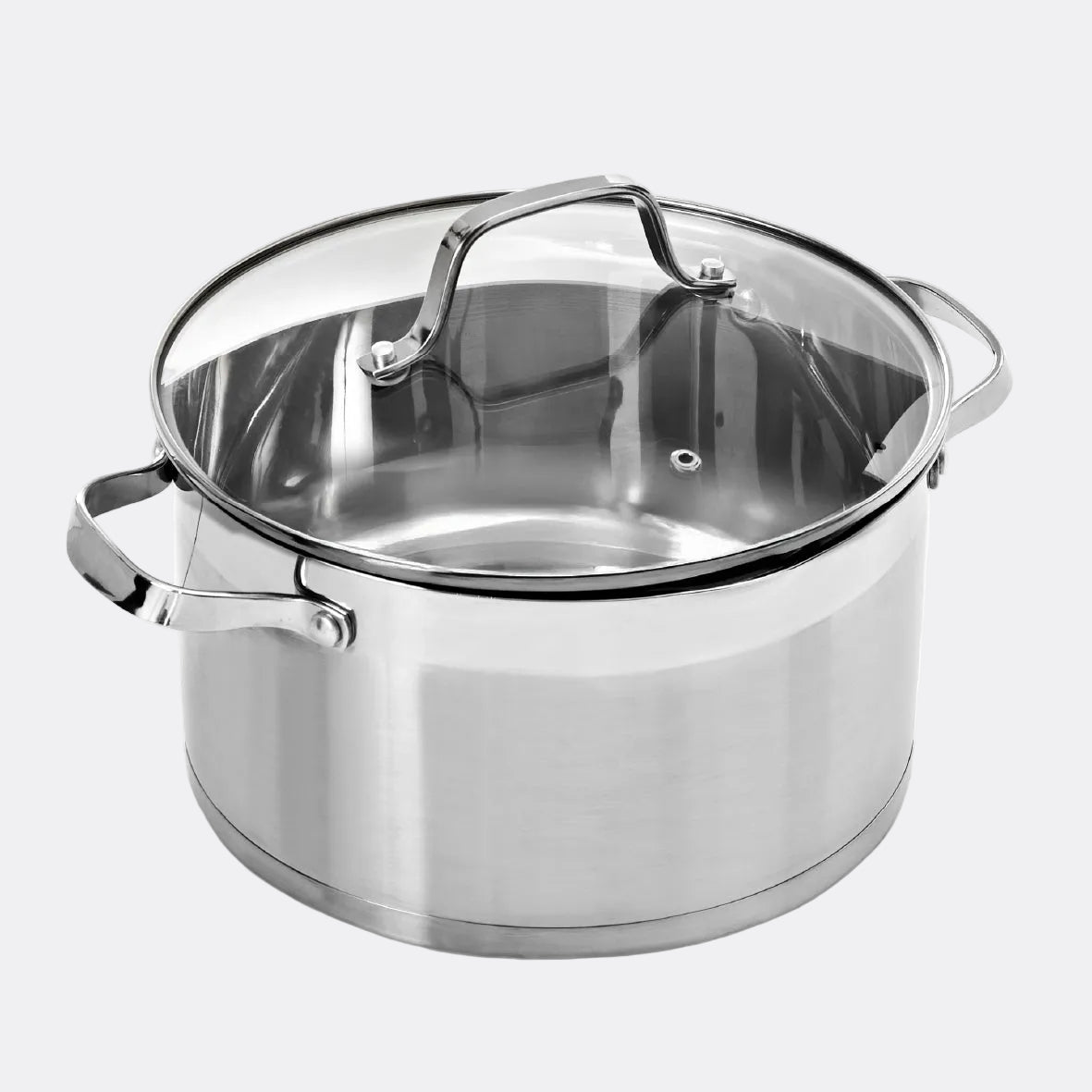 Stainless Steel Pro 24cm Stock Pot with Lid