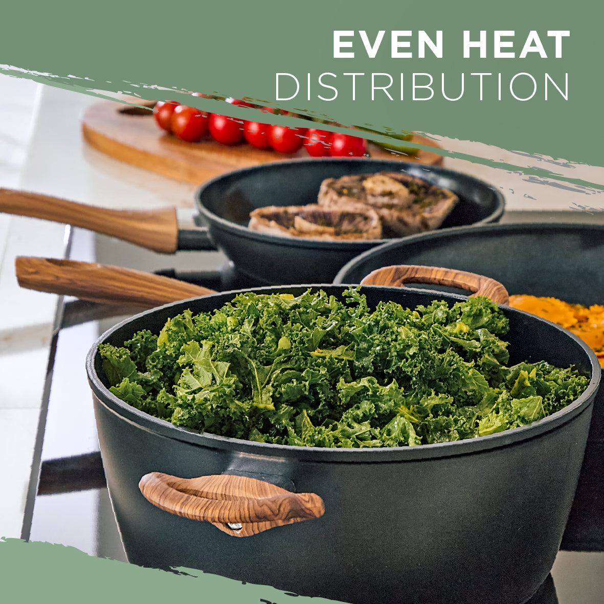 Sherwood 24cm Stock Pot with Lid