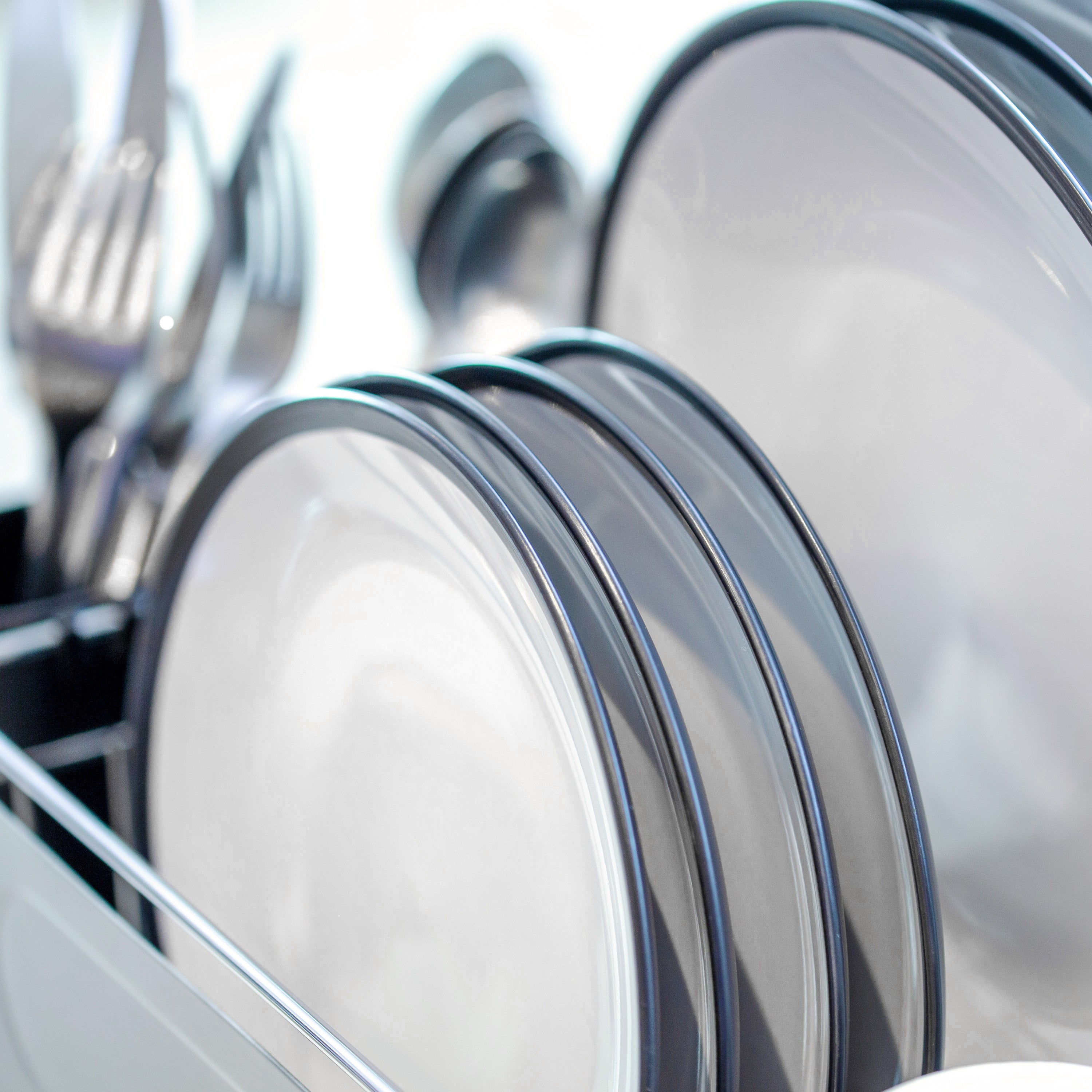 Stainless Steel Dish Drainer with Black Cutlery Holder & Drip Tray
